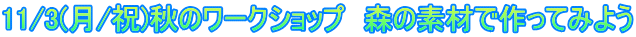 11/3(月/祝)秋のワークショップ　森の素材で作ってみよう