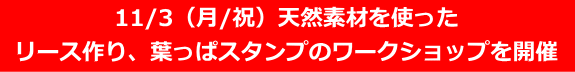 秋のワークショップ 森の素材で作ってみよう 2025/11/3(月/文化の日)
