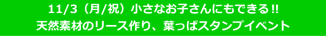秋のワークショップ　森の素材で作ってみよう 2025/11/3（月/文化の日）