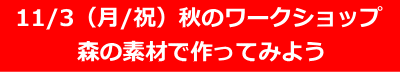 秋のワークショップ 森の素材で作ってみよう 2025/11/3(月/文化の日)